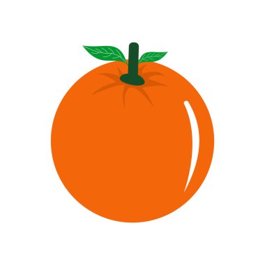 orange fruit icon vector symbol isolated illustrations white background