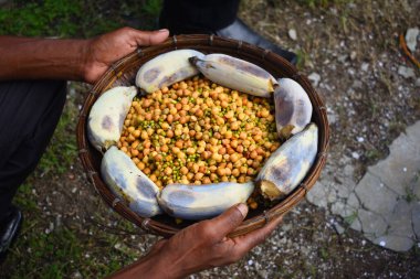 Elinde bir sepet dolusu beyaz nohut (kabuli chana) ve muz tutan bir insan. 
