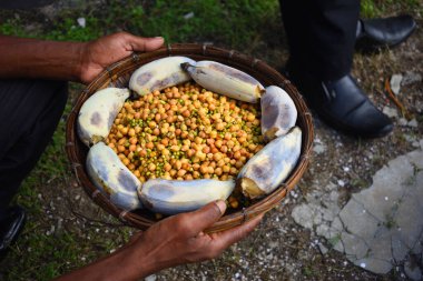 Elinde bir sepet dolusu beyaz nohut (kabuli chana) ve muz tutan bir insan. 