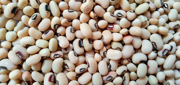 Black-eyed Beans texture background, full frame.
