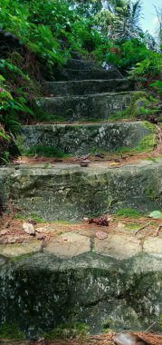 Dağ ormanında çimenli merdivenler, eski merdivenler.