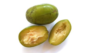 Kedondong ayrıca ambarella meyvesi ya da otaheite elması büyük sıcak erik meyvesi olarak da bilinir. Bilimsel isim: Spondias dulcis, kırpma yolu. 