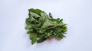Amaranthus viridis, Yeşil Amaranth yaprakları veya bayam hijau sürüsü beyaz arkaplanda izole.