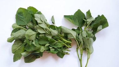 Amaranthus viridis, Yeşil Amaranth yaprakları veya bayam hijau sürüsü beyaz arkaplanda izole.