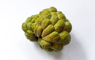 Srikaya meyvesi (Annona squamosa) ya da organik elma srikaya meyvesi, Annona familyasına ait bir bitki türü..