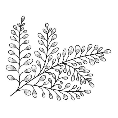 Branch leaves line art vector illustration isolated on a white background.