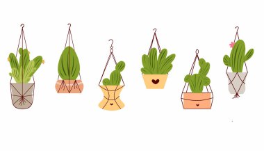 Asılı bitki vektör çizimi beyaz arkaplanda izole edildi. Yeşil ev bitkisi, süs eşyası, çizgi film tarzı..