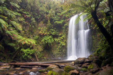 Beauchamp Falls, Avustralya 'nın Büyük Okyanus Yolu' ndaki Beech Ormanı 'na yaklaşık 4 km uzaklıkta.