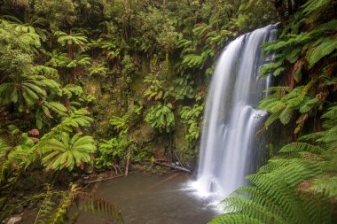 Beauchamp Falls, Avustralya 'nın Büyük Okyanus Yolu' ndaki Beech Ormanı 'na yaklaşık 4 km uzaklıkta.