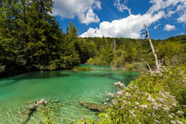Plitvie Lakes Ulusal Parkı, Hırvatistan 'ın orta kesiminde yer alan 295 kilometrekarelik bir orman rezervi. 16 teraslı göller zinciri ile bilinir, şelalelerle birleşir, kireçtaşı kanyonuna kadar uzanır..