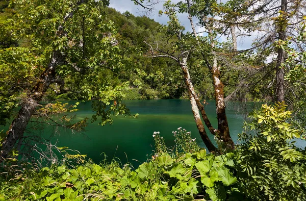 Parque Nacional Dos Lagos Plitvie Uma Reserva Florestal 295 Centro — Fotografia de Stock
