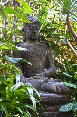 Ayutthaya Tarihi Parkı, Bangkok 'un kuzeyi, Tayland