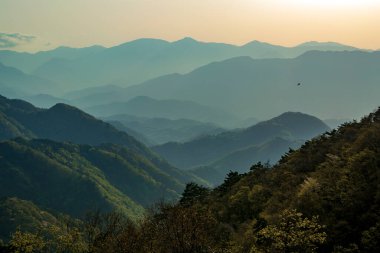 Beautiful Landscape of mountain layer in morning sun ray and winter fog at Chiangrai, Thailand