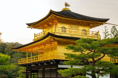 Japonya, Kyoto 'daki Kinkaku-ji Altın Pavyon Tapınağı