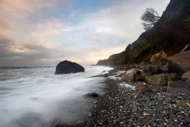 Whariki Sahili, Yeni Zelanda 'nın Güney Adası' nın en kuzeyindeki Cape Farewell 'in batısında bulunan Tasman Denizi kıyısında bir plajdır.