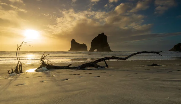 Whariki Sahili, Yeni Zelanda 'nın Güney Adası' nın en kuzeyindeki Cape Farewell 'in batısında bulunan Tasman Denizi kıyısında bir plajdır.
