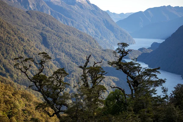 Aoraki Monte Cook Montanha Mais Alta Nova Zelândia Sua Altura — Fotografia de Stock