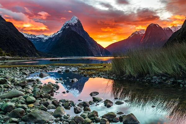 The Milford Sound with its rocks up to 1000 meters high is one of the greatest natural wonder of New Zealand.