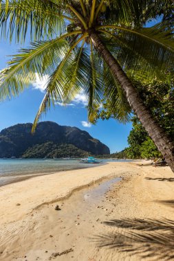 Similan Adaları, Tayland 'ın güneyinde Phang Nga eyaletinin Andaman Denizi kıyısında yer alan bir takımadalardır. Hindistan ve Tayland arasındaki deniz sınırı..