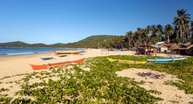 Filipinler 'deki Palawan tropik adaları ve plajları