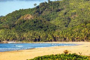 Filipinler 'deki Palawan tropik adaları ve plajları