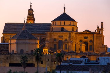 Cordoba akşam görünümü Roma köprüsü ve Camii-Katedrali. Andalusia, İspanya
