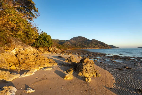 Filipinler 'deki Palawan tropik adaları ve plajları