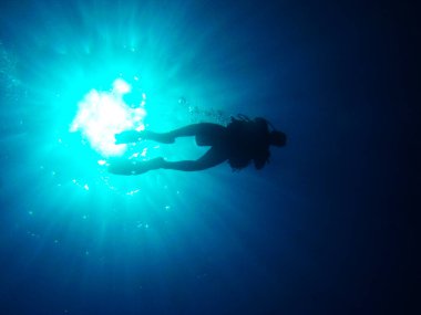 Profesyonel ekipmanlarla su altında yüzen dalgıç. 