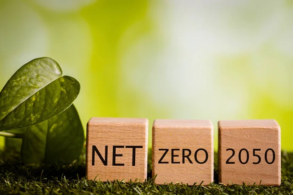 Net zero 2050, Environmental concept, A modern and bold plan to reduce greenhouse gas emissions in the world and reduce pollution