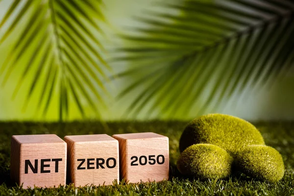 Net zero 2050, Environmental concept, A modern and bold plan to reduce greenhouse gas emissions in the world and reduce pollution