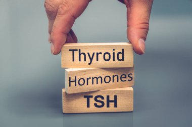 thyroid, hormones, tsh, health concept, endocrine gland study, human endocrine system, energy balance, metabolism regulation, hyper and hypothyroidism clipart