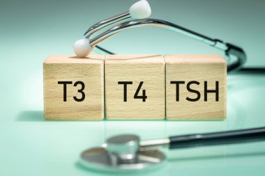 TSH, tiroid hastalıklarının teşhisi, T3 ve T4 'ün tıbbi muayenesi, hormon üretimi ve salgılanması, hipotiroidizm veya hipertiroidizm, yazılı tahta bloklar. Düzenli sağlık kontrolü