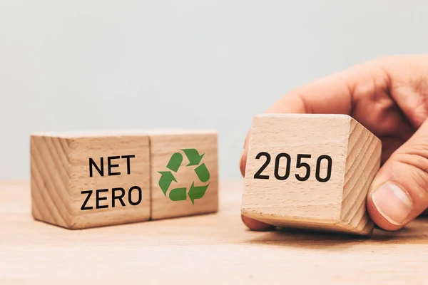Net zero by 2050, Action Plan for the Global Energy Sector, Achieving Community Climate Policy Goals, Environmental Concept, Energy Transition, Sustainable Energy