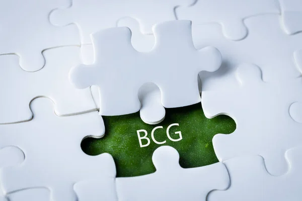 BCG concept for sustainable economic development. The inscription on a green leaf integrated into white puzzles, Bioeconomy, circular economy, green economy. BCG\'s new economic model