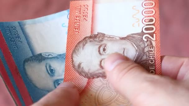 チリペソ カウントし 手にお金を入れる チリの通貨 すべての銀行券 — ストック動画