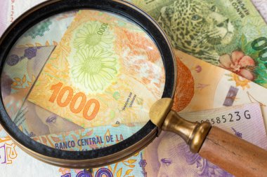 Arjantin parası, en yüksek banknotlar, mikroskop altında Arjantin parası, finans ve ekonomi devleti