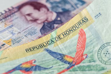 Honduras parası, 200 ve 500 lempira banknotlar, en çok dönen banknotlar, finansal konsept, yakın plan, kırmızı papağan papağanı.