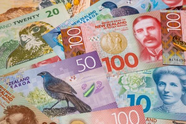 Новозеландские Деньги Банкноты Новозеландские Доллары Крупный План Финансовый Фон — стоковое фото