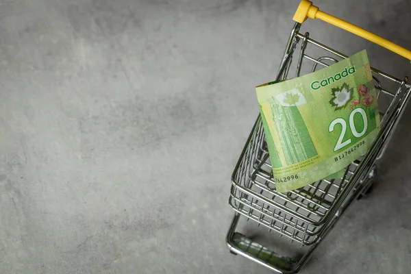 Shopping cart with 20 Canadian dollars, Concept, rising prices, Inflation in stores, Lower purchasing power of money in Canada, Copy space, gray backgroun