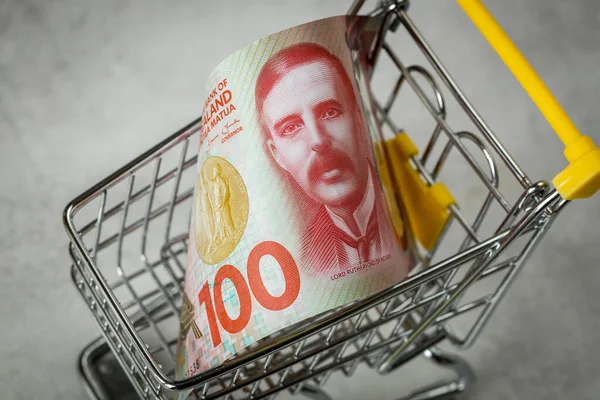 Zéland Száz Dollár Egy Üres Bevásárlókocsiban Koncepció Emelkedő Árak Boltokban — Stock Fotó