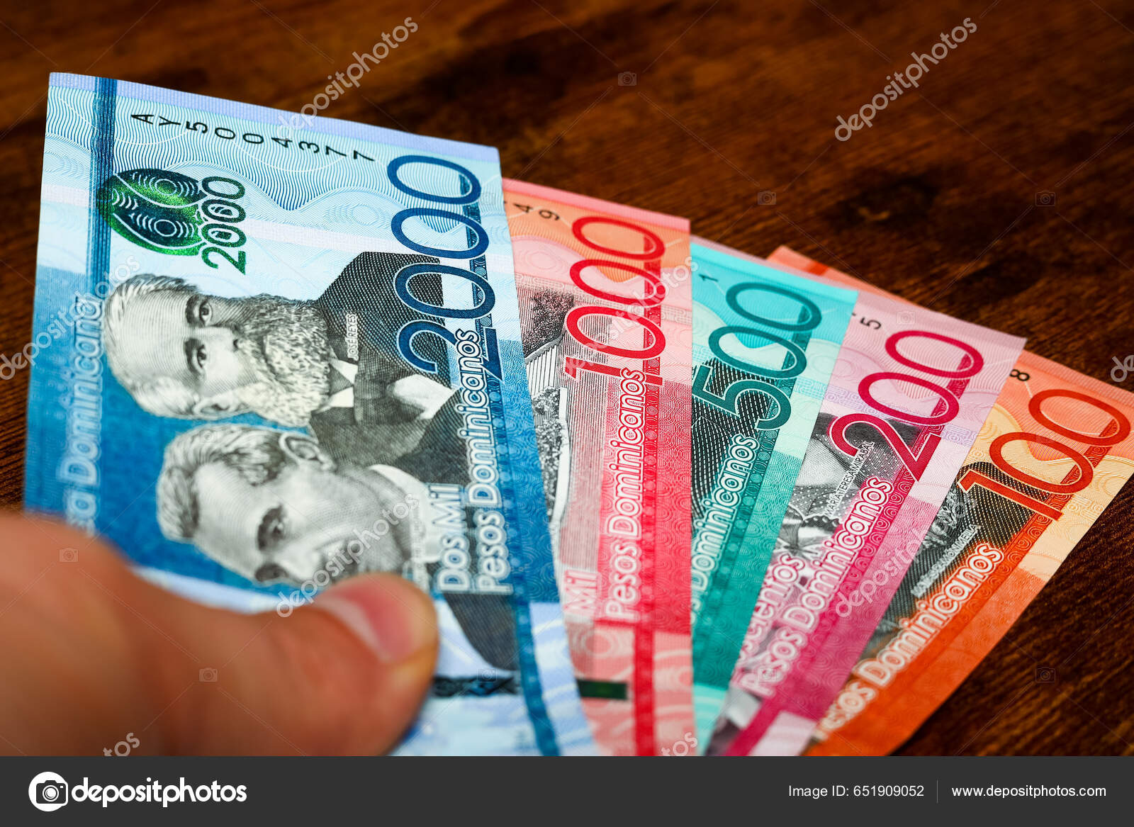 多明尼加共和国的钱手中拿着比索钞票——图库图片© rochu_2008 #651909052