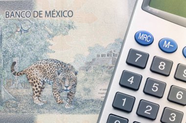 Meksika Bankası, Jaguar sembolü 1000 peso banknot ve hesap makinesi, finansal hesaplama konsepti