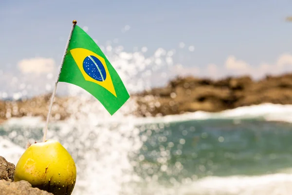Bandeira Brasileira Plantada Coco Praia Conceito Férias — Fotografia de Stock