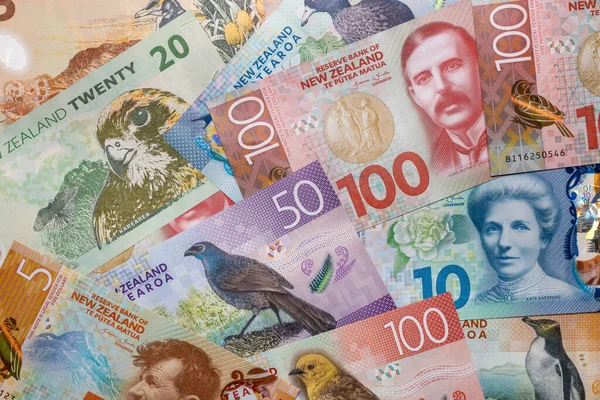 Новозеландские Деньги Банкноты Новозеландские Доллары Крупный План Финансовый Фон — стоковое фото
