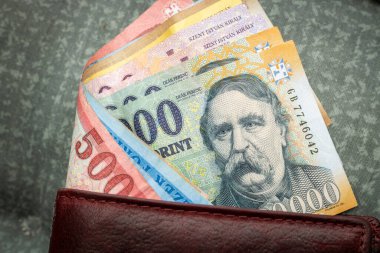 Macar parası, formatlar, bir cüzdan, finansal ve ekonomik konsept, yakın çekim