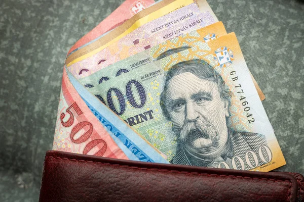 stock image Hungarian money, forints, sticking out of a wallet, financial and economic concept,, close up