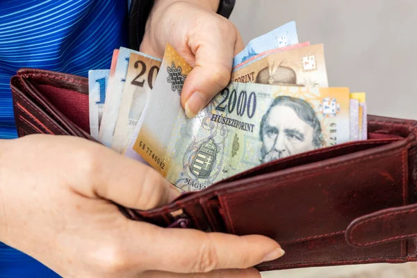 Венгерские Деньги Женщина Подсчитывает Деньги Бумажнике Экономическое Положение Венгров Рыночная — стоковое фото
