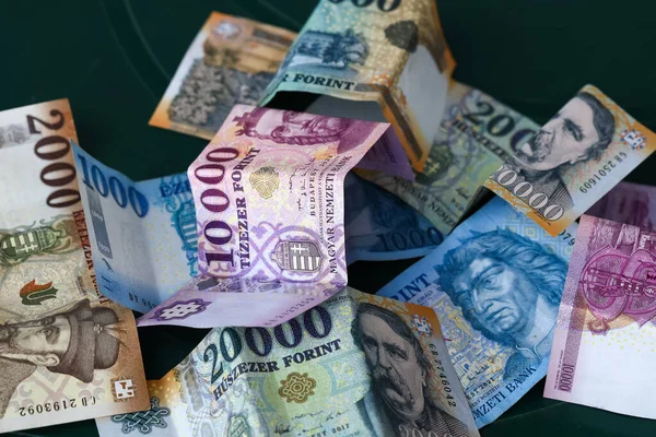 Dinero Forint Húngaro Billetes Todas Las Denominaciones Bizness Finanzas Hungría — Foto de Stock