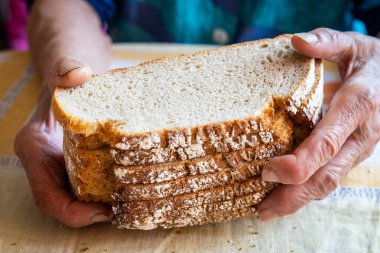 Yaşlı kadın, eski yıpranmış ellerinde birkaç dilim kuru ekmek tutuyor. Emeklilerin ve fakirlerin içinde bulunduğu kötü durum.