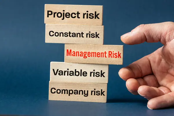 management risk, Project risk, Owners company, Fixed and variable risk, Written on wooden blocks, Business concept, Enterprise risk control